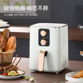 【小家电】迈卡罗MC-KL536空气炸锅家用精准定时无油烟电炸锅低脂薯条机不沾煎炸锅HF
