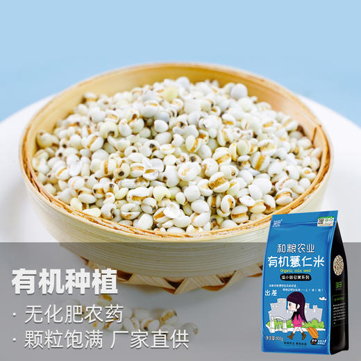 有机薏仁米900g 商品图1