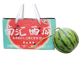 南汇8424西瓜 6kg 商品图0