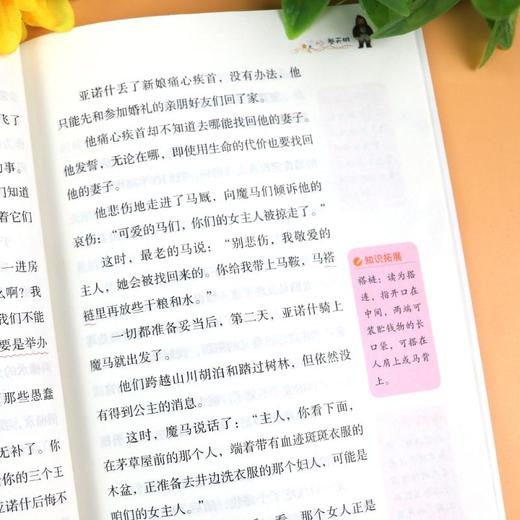 欧洲民间故事 商品图2
