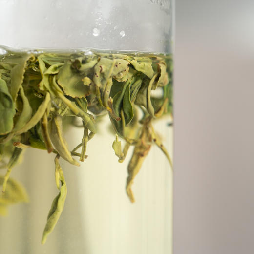 【茶馆茶叶】【北方佳人】精选白毫青茶 | 100°水泡叶底绿 满满的豌豆香 不苦不涩 叶底完整 茶汤绿且透亮 商品图5