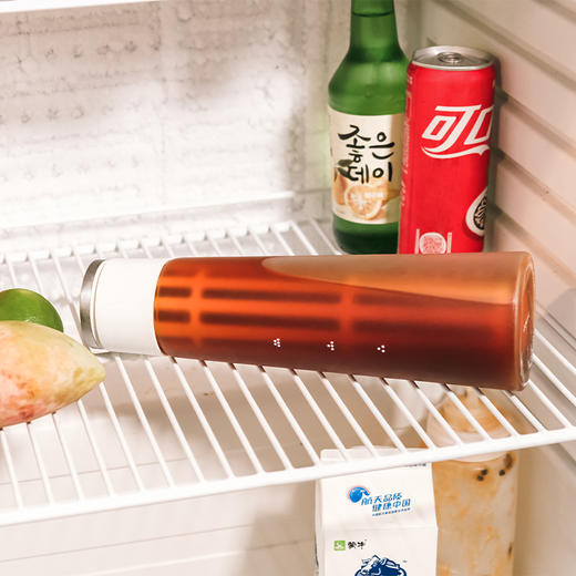 泰摩 冰锥冷泡瓶咖啡冷萃壶家用冷萃杯冰咖啡玻璃壶过滤冷泡茶壶 商品图3