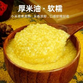 【买2送1，农家自产黄小米】一年一季，米油丰富，新鲜香糯，软糯好吃！新米黄米粥食糯小米粥五谷杂粮粗粮