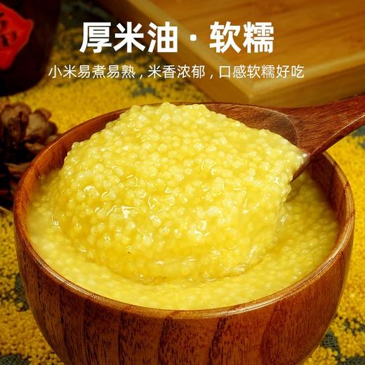 【买2送1，农家自产黄小米】一年一季，米油丰富，新鲜香糯，软糯好吃！新米黄米粥食糯小米粥五谷杂粮粗粮 商品图0