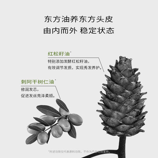 【首品专享】浴见-红松籽轻盈洗发露（松间照）/红松籽柔顺洗发露（香辛柏）洗发水洗发膏洗头 商品图6