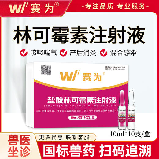 盐酸林可霉素注射兽用针剂宠物猫狗母猪产后消炎药牛羊呼吸道兽药 商品图0