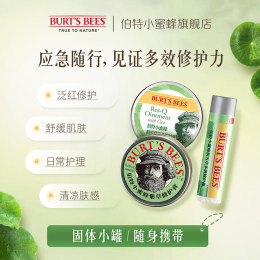 美国Burt's Bees伯特小蜜蜂紫草膏/积雪草棒 商品图1