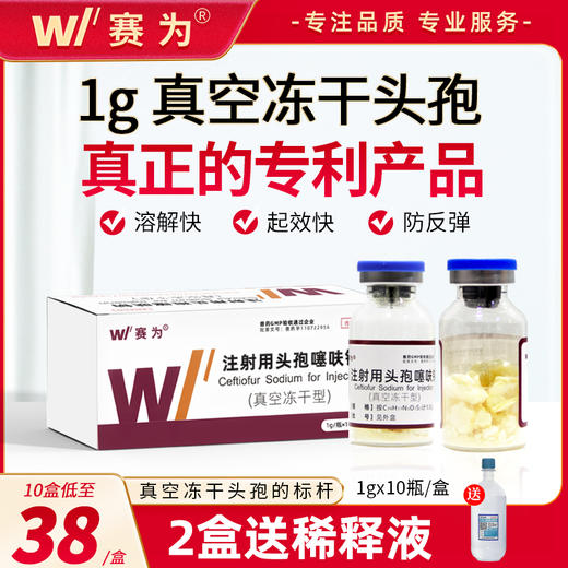 头孢噻呋钠注射兽用1g速溶真空冻干粉母猪牛羊呼吸道消炎兽药正品 商品图0