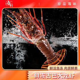 【卡券兑换】海朴3.5斤龙虾礼盒装