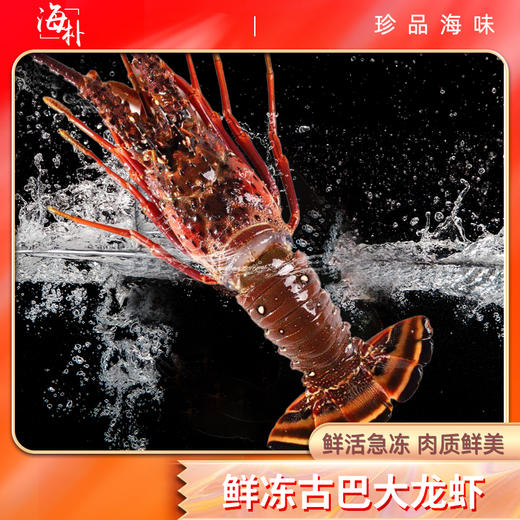 【卡券兑换】海朴3.5斤龙虾礼盒装 商品图0