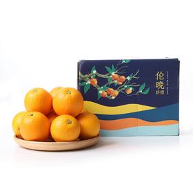 湖北秭归伦晚橙礼盒2.25kg