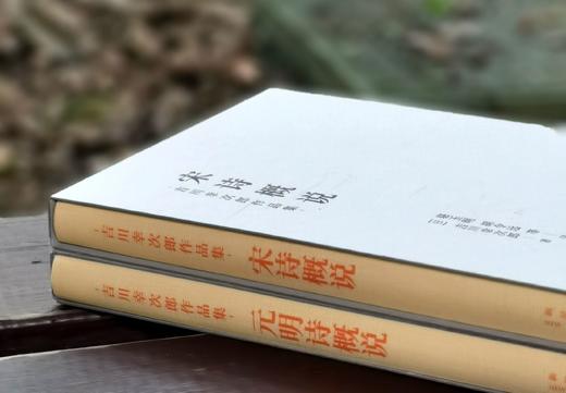 《宋诗概说》/《元明诗概说》，日 吉川幸次郎著，骆玉明教授等译，新星出版社2022年一版一印，两册定价：136，合售价：98元。 商品图2