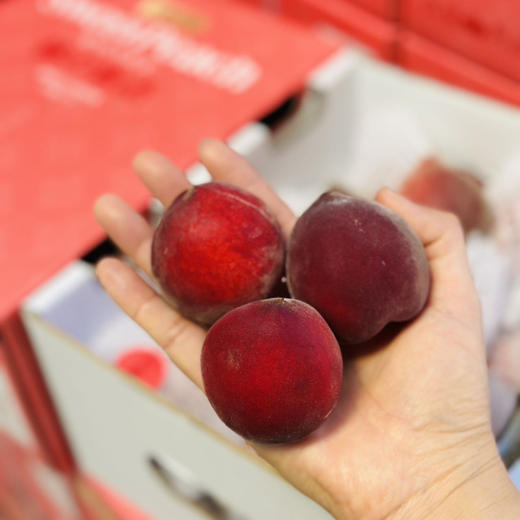 云南蜜桃，桃期一个月，非常短，个头小，且甜，桃味十足，3斤/箱 商品图1