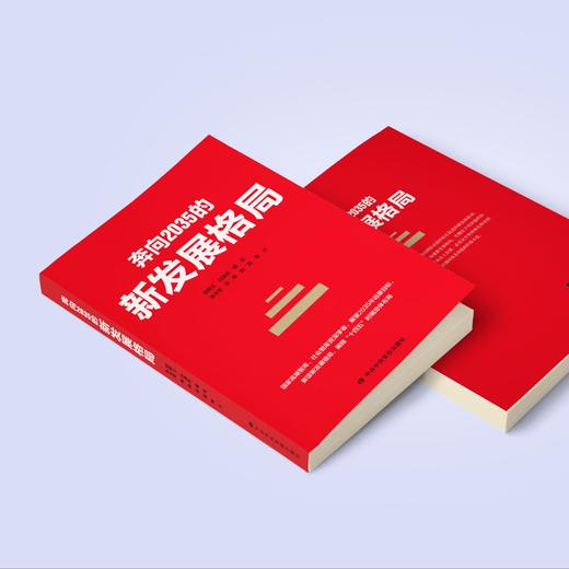 《奔向2035的新发展格局》 商品图1