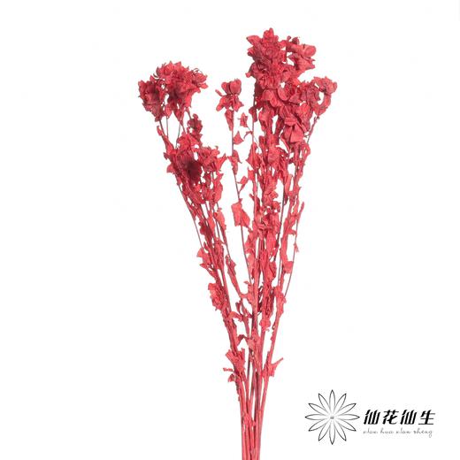 永生花材 | 橙菠萝红色 商品图1