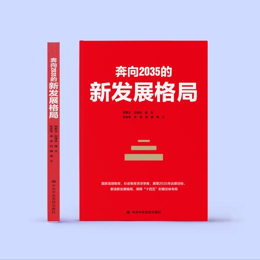 《奔向2035的新发展格局》 商品图2