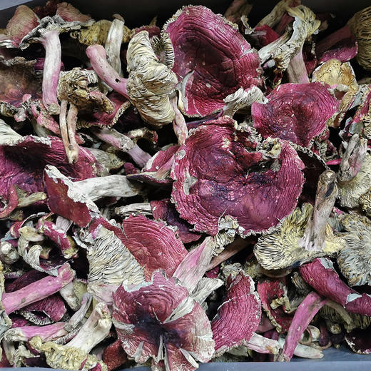 隐岭·野生红菇 商品图3