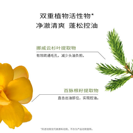 【首品专享】浴见-红松籽轻盈洗发露（松间照）/红松籽柔顺洗发露（香辛柏）洗发水洗发膏洗头 商品图3