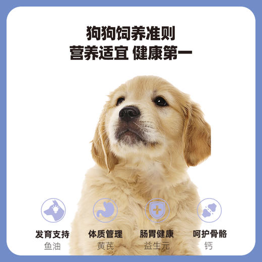 伯纳天纯经典中大型犬幼犬成犬老年犬专用狗粮15kg金毛边牧萨摩耶通用型大袋 商品图3
