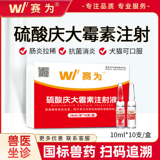 赛为硫酸庆大霉素注射兽用针剂犬猫口服猪牛羊消炎肠炎腹泻肺炎 商品图0