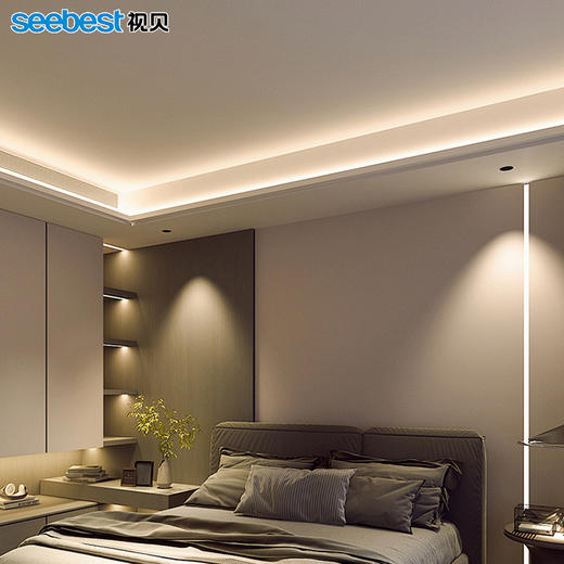 亮丽系列/低压灯带/全光谱 商品图1