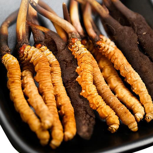 西藏特产 正宗那曲比如冬虫夏草0.7-1.5克/根50根顺丰包邮 商品图0