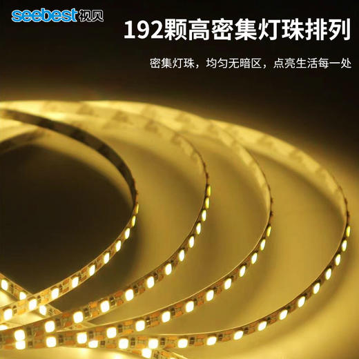 亮丽系列/低压灯带/三色变光 商品图2