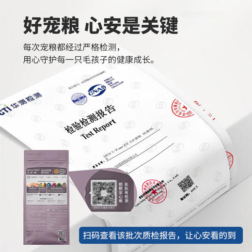 伯纳天纯生鲜super幼猫奶糕猫粮全价鲜肉冻干猫粮5kg 商品图6