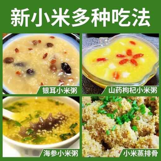 【买2送1，农家自产黄小米】一年一季，米油丰富，新鲜香糯，软糯好吃！新米黄米粥食糯小米粥五谷杂粮粗粮 商品图3
