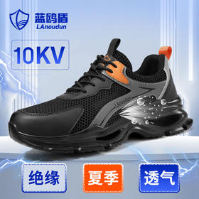 蓝鸥盾夏季绝缘防砸防刺安全鞋钢包头劳保鞋工作鞋轻便舒适
