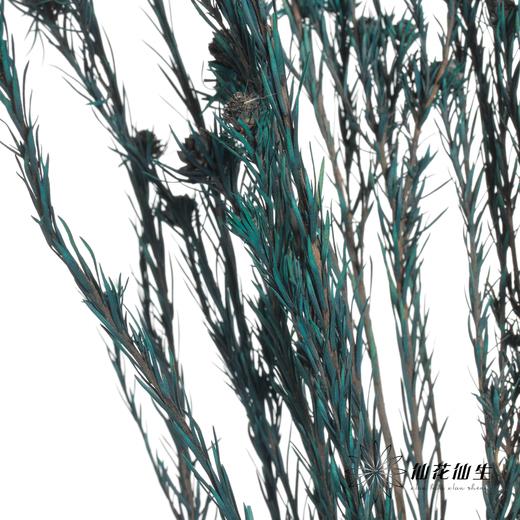 永生花材 | 郁金香蓝色 商品图3