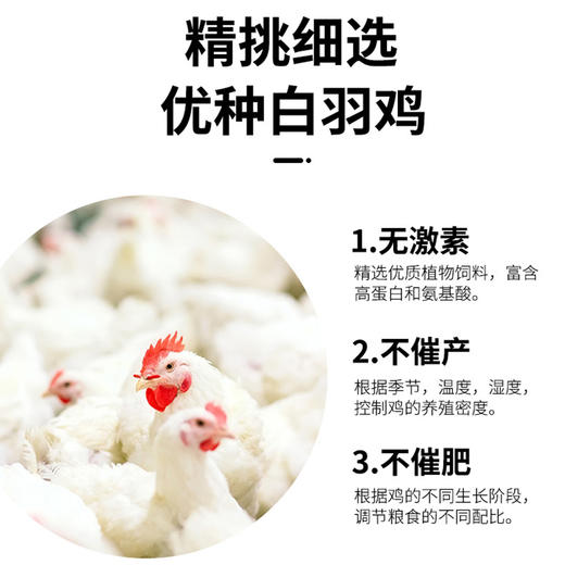 亲心 大鸡排120G*10(两口味） 商品图4