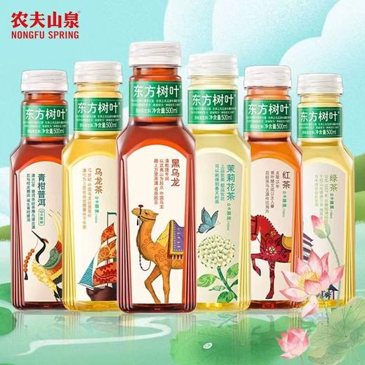 【批发】东方树叶黑乌龙茶500*15 商品图1