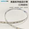 亮丽系列/低压灯带/三色变光 商品缩略图0