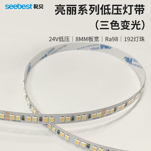 亮丽系列/低压灯带/三色变光 商品图0