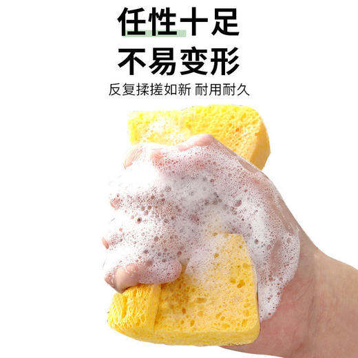 【清洁神器，木匠清洁洗碗海绵】洗碗海绵天然木浆棉，清洁力强轻松去油污，百洁布刷洗碗抹布不沾油木浆海绵块吸水魔力擦QQ 商品图2