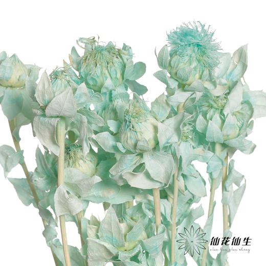 永生花材 | 橙菠萝蒂芙尼蓝 商品图0
