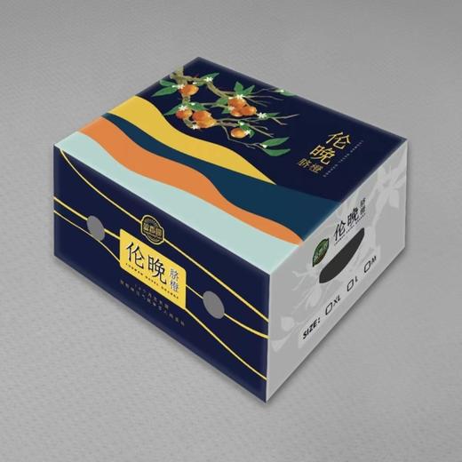 湖北秭归伦晚橙礼盒4.5kg 商品图4