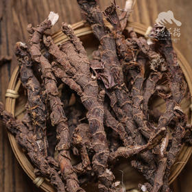 野生茴香菖蒲（山奈） | 合作生产 * Wild Acorus gramineus Soland | Coproduction