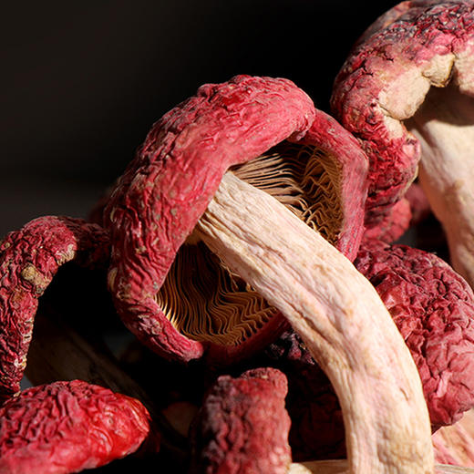 隐岭·野生红菇 商品图2