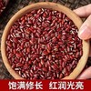 【买2送1，赤小豆500g】软糯香甜，豆粒饱满，当季新粮，易煮易出沙，真空包装红豆薏米茶原料五谷杂粮 商品缩略图3