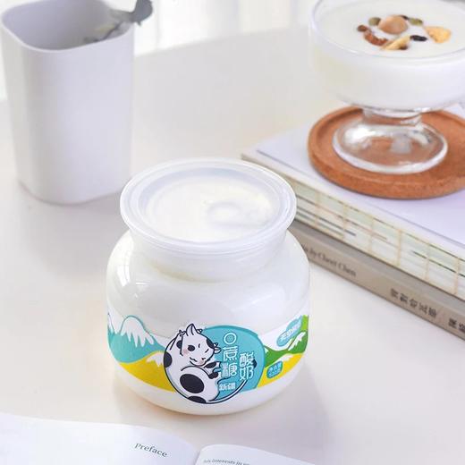 【 0蔗糖 优质奶源 配料简单】悠了优乐0蔗糖天空酸奶 520g*2瓶 商品图5