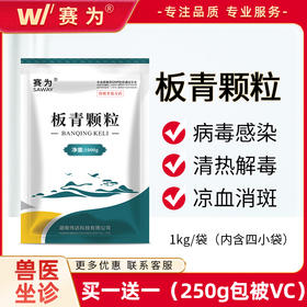 板青颗粒中兽药抗病毒流感蓝耳猪瘟伪狂犬无名高热内热提高免疫力