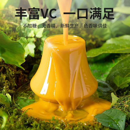 杞里香尝萃300ml（10袋）方盒装沙棘原浆 商品图3