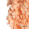 永生花材 | 橙菠萝香槟色 商品缩略图2