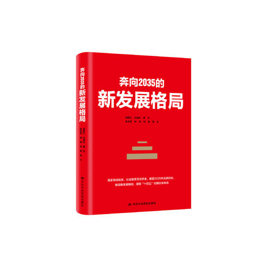《奔向2035的新发展格局》 商品图0