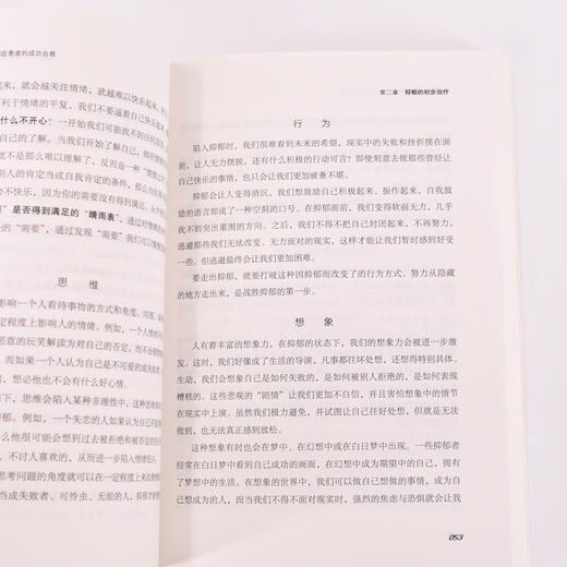 走出抑郁 一个抑郁症患者的成功自救 商品图3