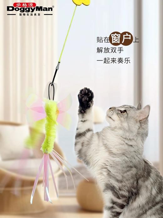 多格漫猫咪吊绳蜻蜓玩具  猫咪自嗨玩具  自由悬挂 偏远地区勿拍 商品图5