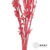 永生花材 | 橙菠萝红色 商品缩略图3