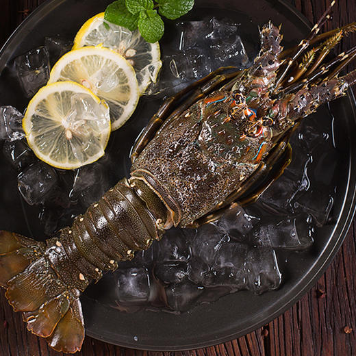 【卡券兑换】海朴3.5斤龙虾礼盒装 商品图1